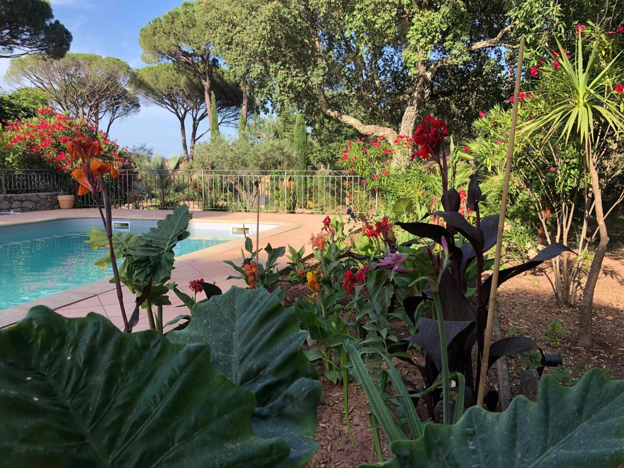 Sous Les Pins Parasols Vidauban Zewnętrze zdjęcie
