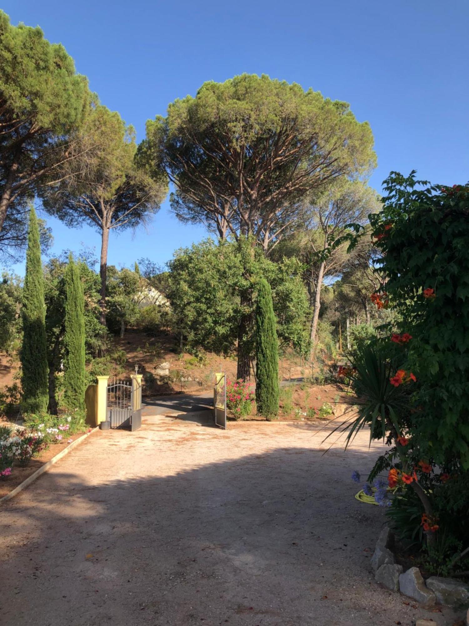 Sous Les Pins Parasols Vidauban Zewnętrze zdjęcie