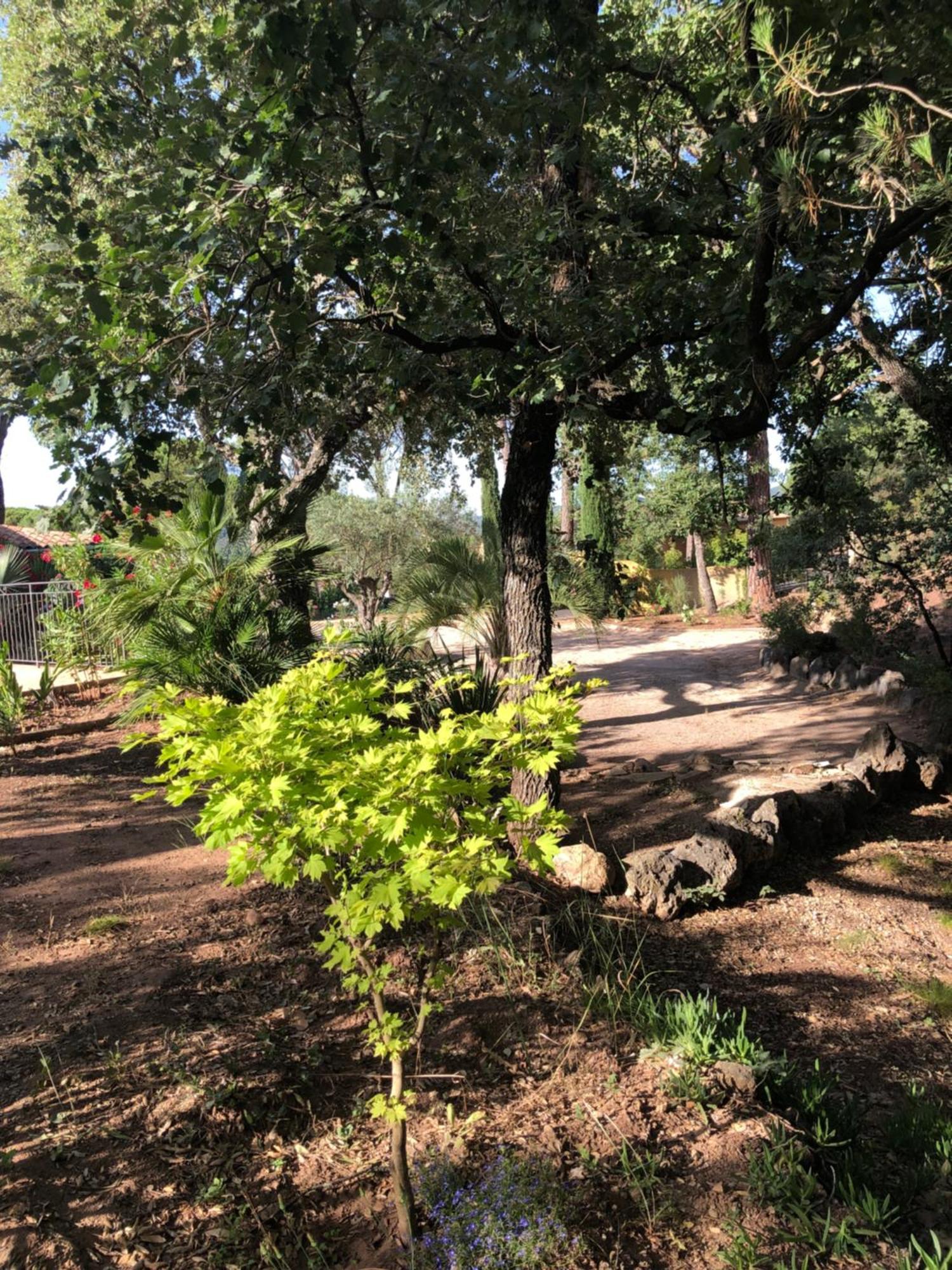Sous Les Pins Parasols Vidauban Zewnętrze zdjęcie