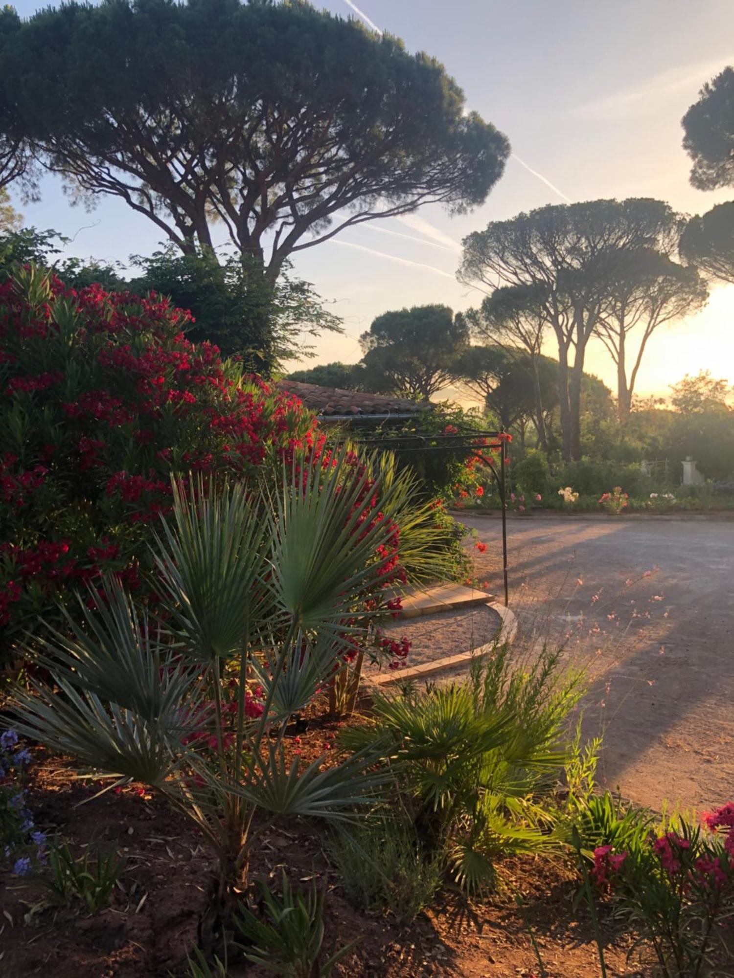 Sous Les Pins Parasols Vidauban Zewnętrze zdjęcie