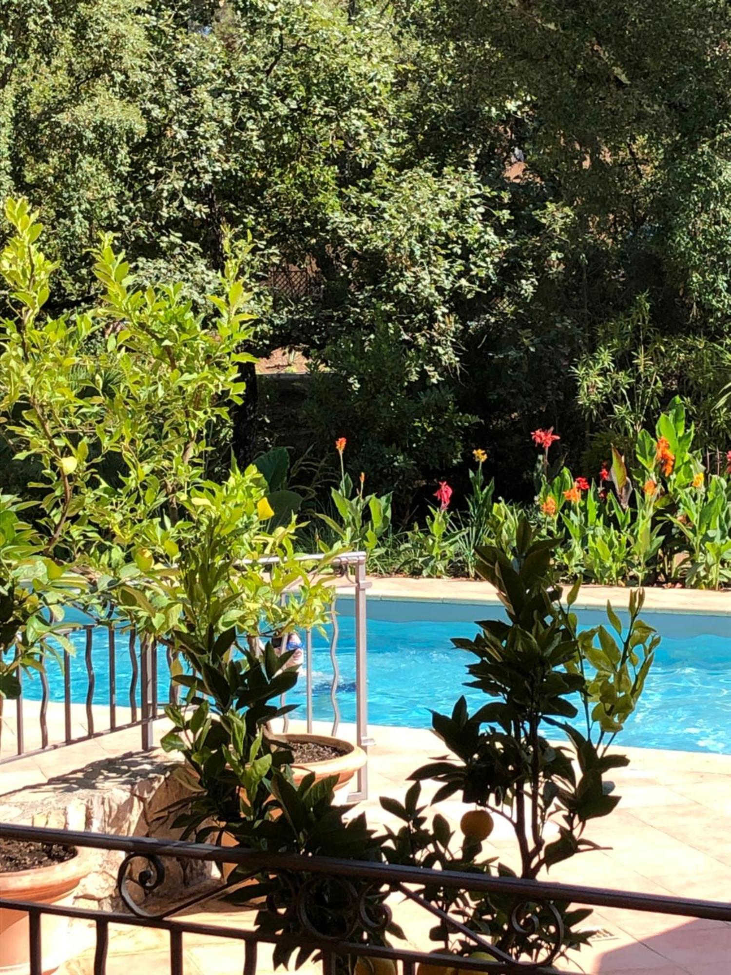 Sous Les Pins Parasols Vidauban Zewnętrze zdjęcie