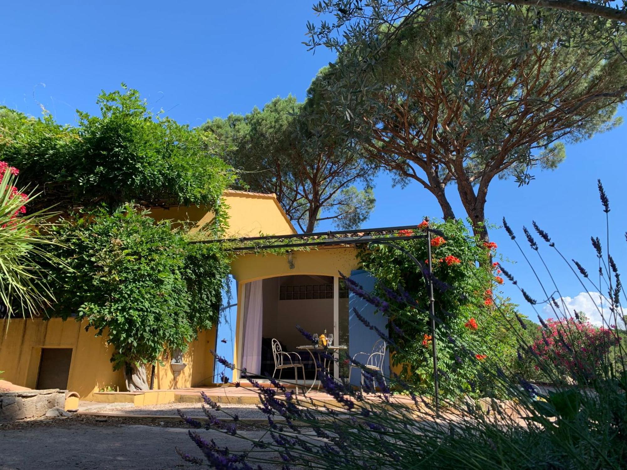 Sous Les Pins Parasols Vidauban Zewnętrze zdjęcie