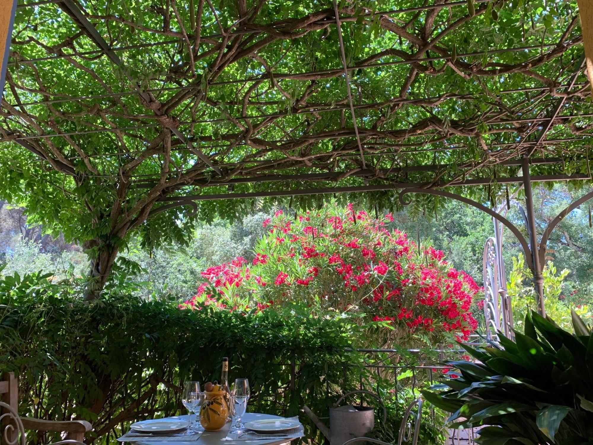 Sous Les Pins Parasols Vidauban Zewnętrze zdjęcie
