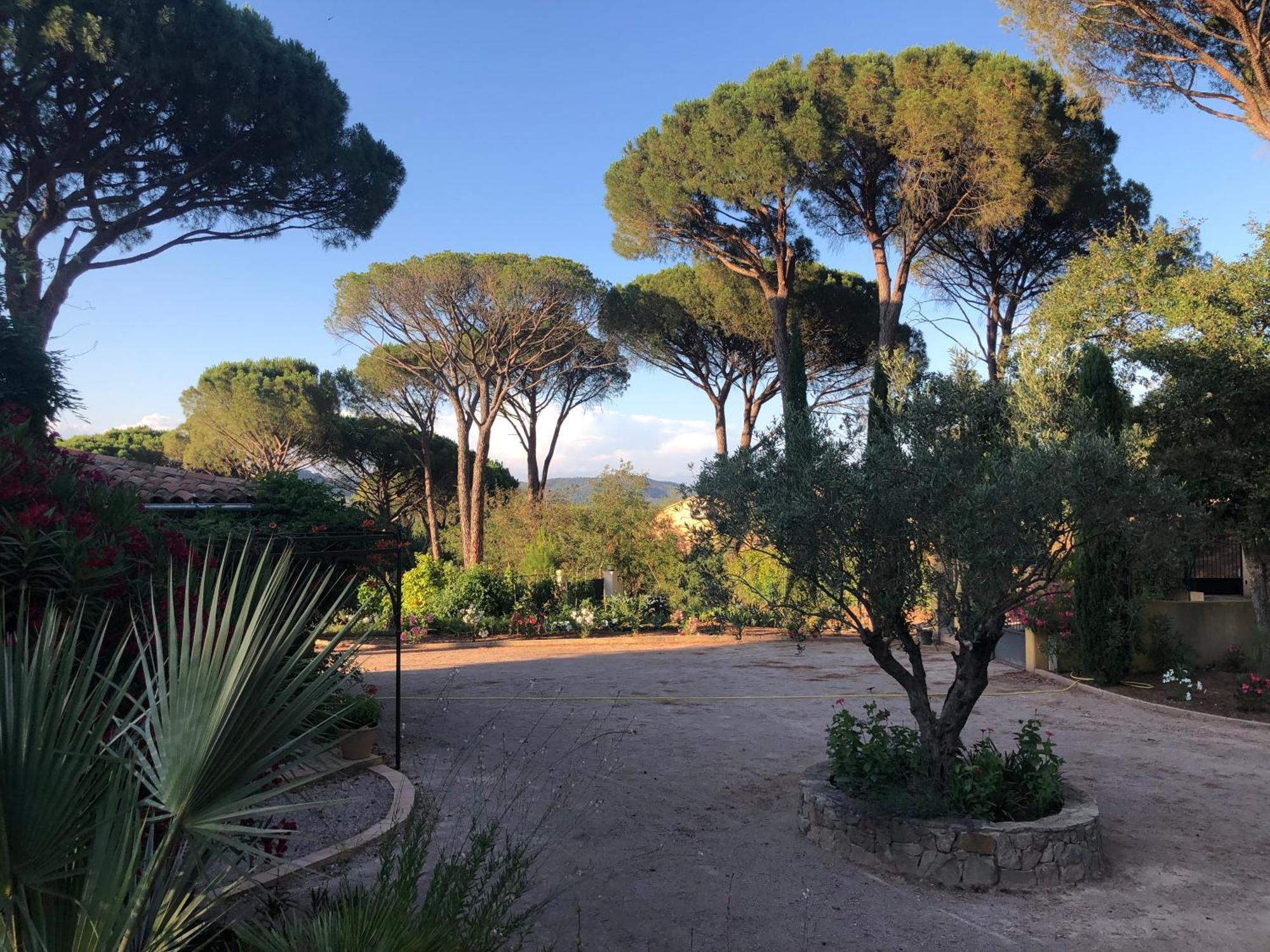 Sous Les Pins Parasols Vidauban Zewnętrze zdjęcie