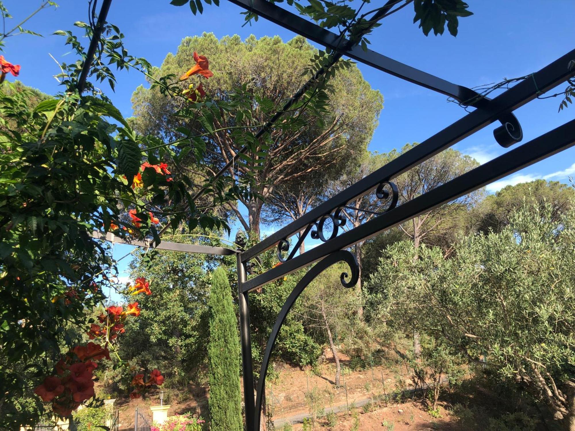 Sous Les Pins Parasols Vidauban Zewnętrze zdjęcie