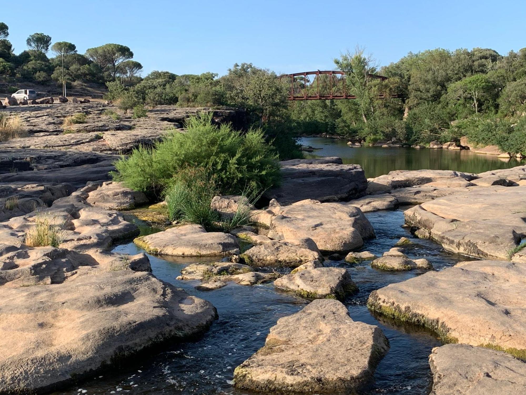 Sous Les Pins Parasols Vidauban Zewnętrze zdjęcie