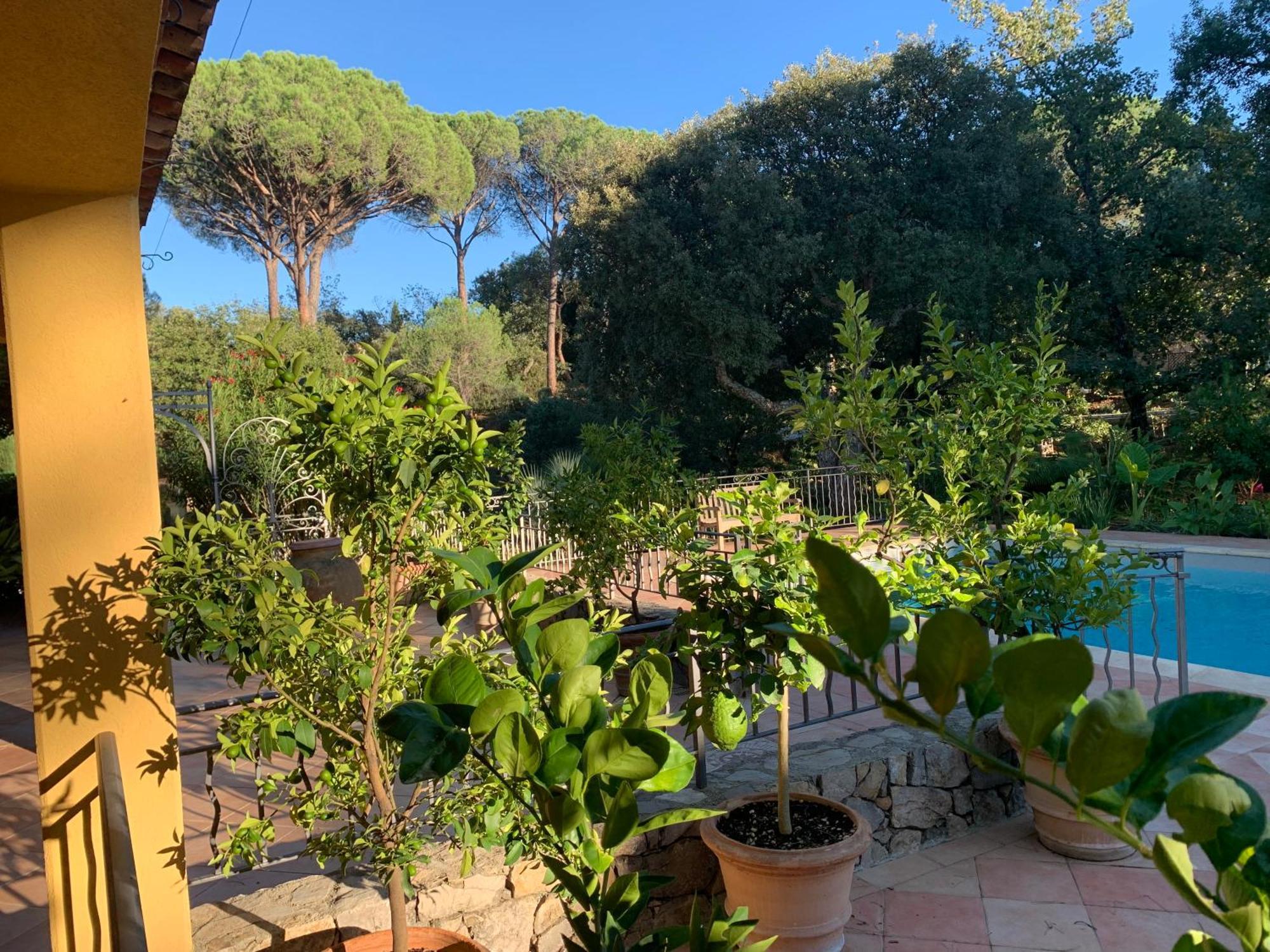 Sous Les Pins Parasols Vidauban Zewnętrze zdjęcie