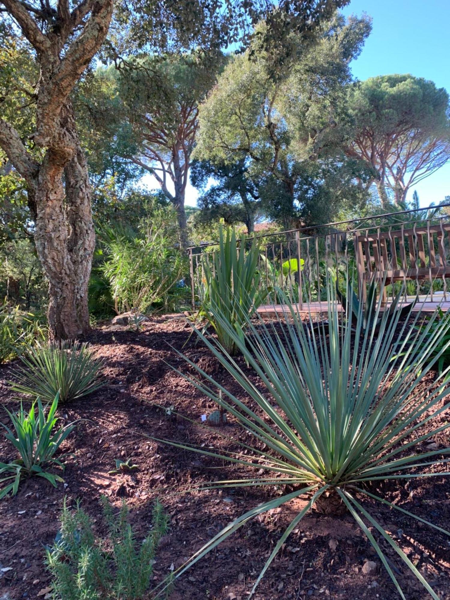 Sous Les Pins Parasols Vidauban Zewnętrze zdjęcie